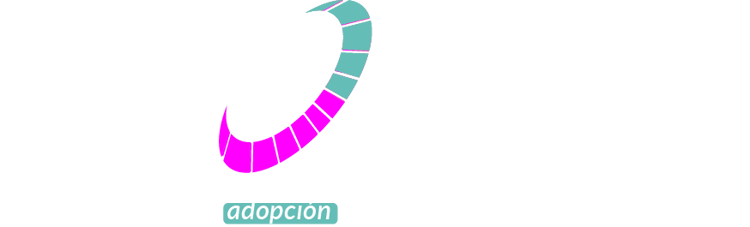 Recurso 16 Recurso 16